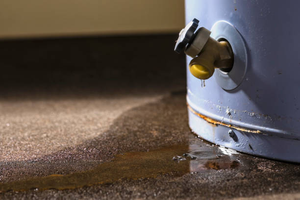 Best Local water damage restoration  in Thornton, IL
