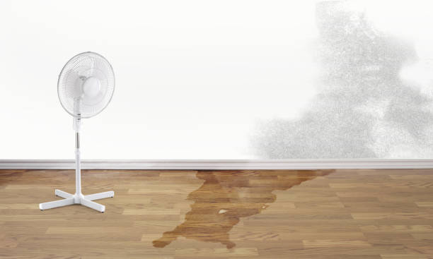 Best 24/7 water damage repair  in Thornton, IL