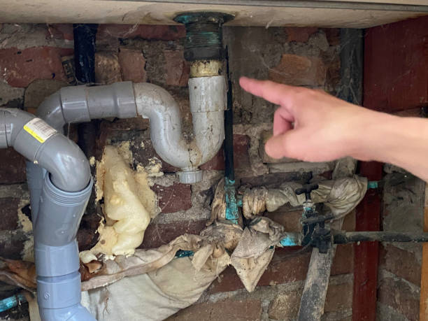 Best Ceiling water damage repair  in Thornton, IL
